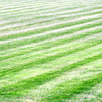 【重要】12/12 サービス終了のお知らせ