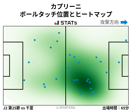 ヒートマップ - カプリーニ