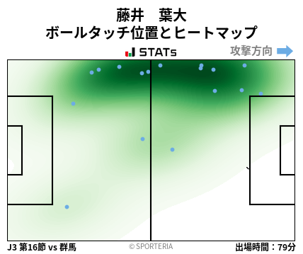 ヒートマップ - 藤井　葉大